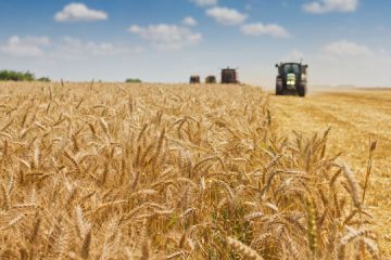 Harvesting