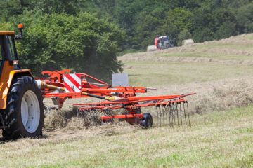 Haymaking