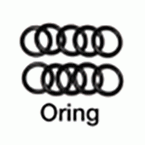 O-ringen ORM