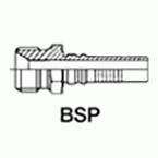 BSP paralelo 60° macho AP