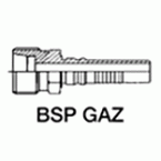 BSP taper GAS HP Male