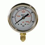 High Pressure Gauge in Glycerin and Check Valves