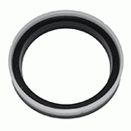 Piston Seal (SE)